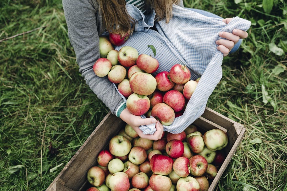 DIETA E PROGRAMMI ALIMENTARI PERSONALIZZATI